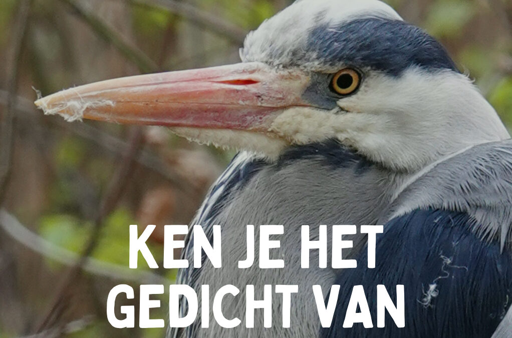 Filmpraat; iets met communicatie